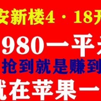 東莞長安小產(chǎn)權(quán)房 雙公園-雙地鐵物業(yè) 離深圳松崗800米，長安最高性價比樓盤，開搶拼手速 【蘋果壹號】